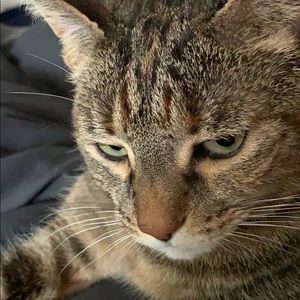 Meet your Posher, Ann